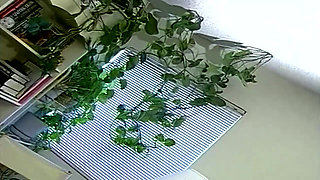 Intense Pussy Licking and Fingering to Orgasm