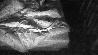 Couple amateur hidden cam my bitch