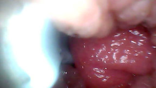 Extreme Proximity Turns Watcher Into Active, Hungry Participant