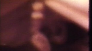 Hardcore Fucking Scenes with Blowjob Giving Brunettes