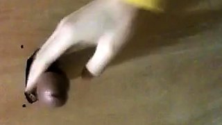 Korean Amateur Sucks Cock in Bathroom Gloryhole