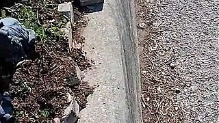 Nurse Vicki Is Sweating in the Garden