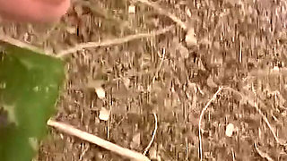 Anal Sex in the Backyard While Roommates Are Gone!