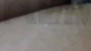 CIMA black and ebony