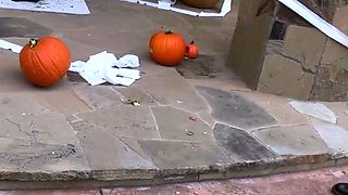 Pumpkin Smashing with Blonde Big Tits KENZIE TAYLOR for