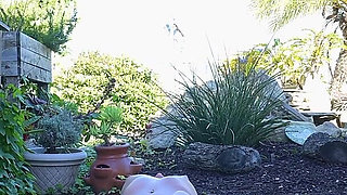 19 Year Old Kate Does Naked Yoga