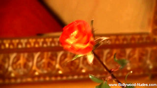 Bolly Dancer's Sensual Art