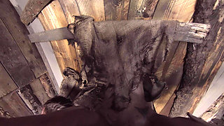 X Virtual 19 the Monster From the Woods 180°