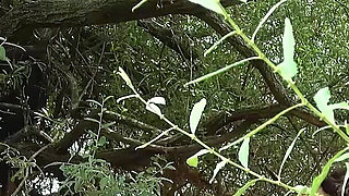 Cruising and Sex on the Beach. Elena De La Vega Has Sex with a Stranger in Public on Fakings