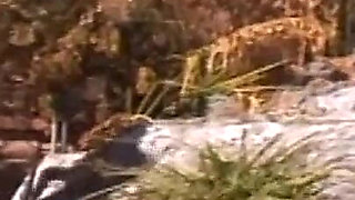 Tia Tanaka Naked Pool and Living Room Pee