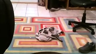 Fat Daddy Strips and Strokes on Webcam