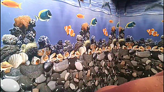 Ammu Kutty Applies Soap to Her Breasts, Massages Them, and Makes Them Shine.