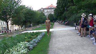 Brunette Flashing Her Titties And Pussy Outdoors In Public