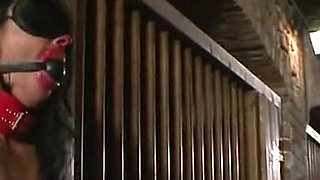 Humiliates scribbled body