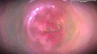 B035 Shrinking Man Gets Swallowed by Asian Beauty's Pussy