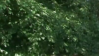 Humiliates wrapped in foil in the forest