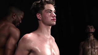 Stable master assesing the mares level of arousal