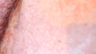 An Alien Breeding