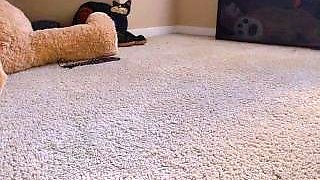 Asian teen amateur jerking cock