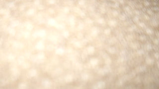 Desi Bhabhi XXX Video