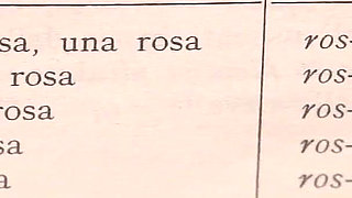 The Latin Lesbian Teacher