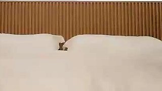 Asian blowjob blond amateur fucked after sucking cock