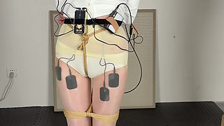 Limit Electric Shock and Voice-controlled Electric Shock Penalty Standing