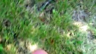 Young Mexican Amateur Humiliated Outdoors