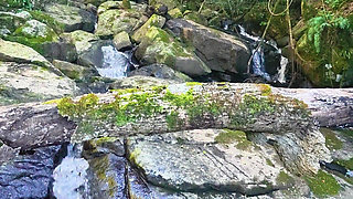 MILF Gets Her Pussy Eaten and Fucked at the River