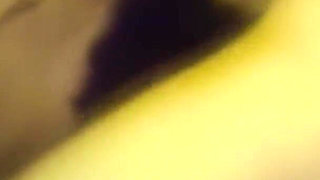 The Fiery Furry Eats It All