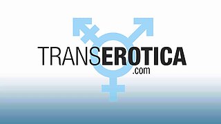 TRANSEROTICA - Updates Compilation 7th to 11th Sept '26