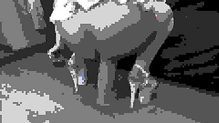Framed Dick Pic Maid Anal Ride