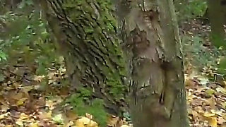 The Slave Bastards Destroyed in The Forest