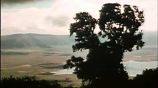 Sexy babe in vintage dress cleans cock off