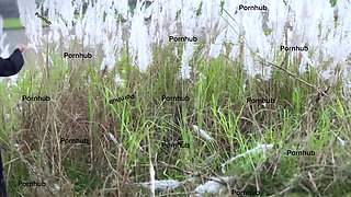 Egypt Muslim Farm Girl with Abaya Try to Find Cucumber in Farmland for Her Pussy