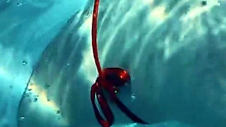 Join Me in the Pool, on My Mv Crush