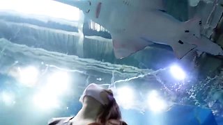 0007346_JAV_JapaneseAV_Censored_MGS_19min