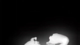 Puchis - My Stepsister Goes to My Bed to Fuck