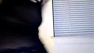 Voluptuous Ebony Dancer Shakes it for the Webcam