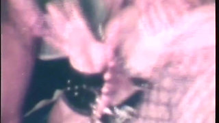 Everyone Inside My Ass