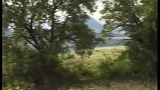 Amateur Lady Form Germany Got Outdoor Fucked