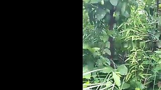 New Instagram Viral Hardcore desi outdoor sex of a big boob girl