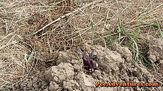 Pissing on a muscles of ants huge volume