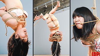 Miwa Kiritani Suspended in an Authentic Japanese Shibari Session HD