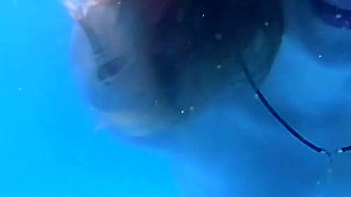 Underwater in Pool