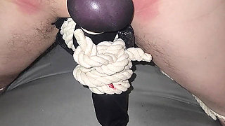 Goode Girl CBT a Nylon, Some Ropes and Ballbusting