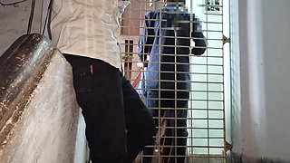 Friend Made the Sex Video of Indian College Girl Viral.