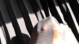 Nylon stockings pantyhose footjobs foot fetish sex