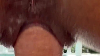 Tan Skin Babe Ami Bue Suck and Lick a Big Cock on POV