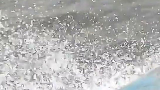A Journey Through the Sea